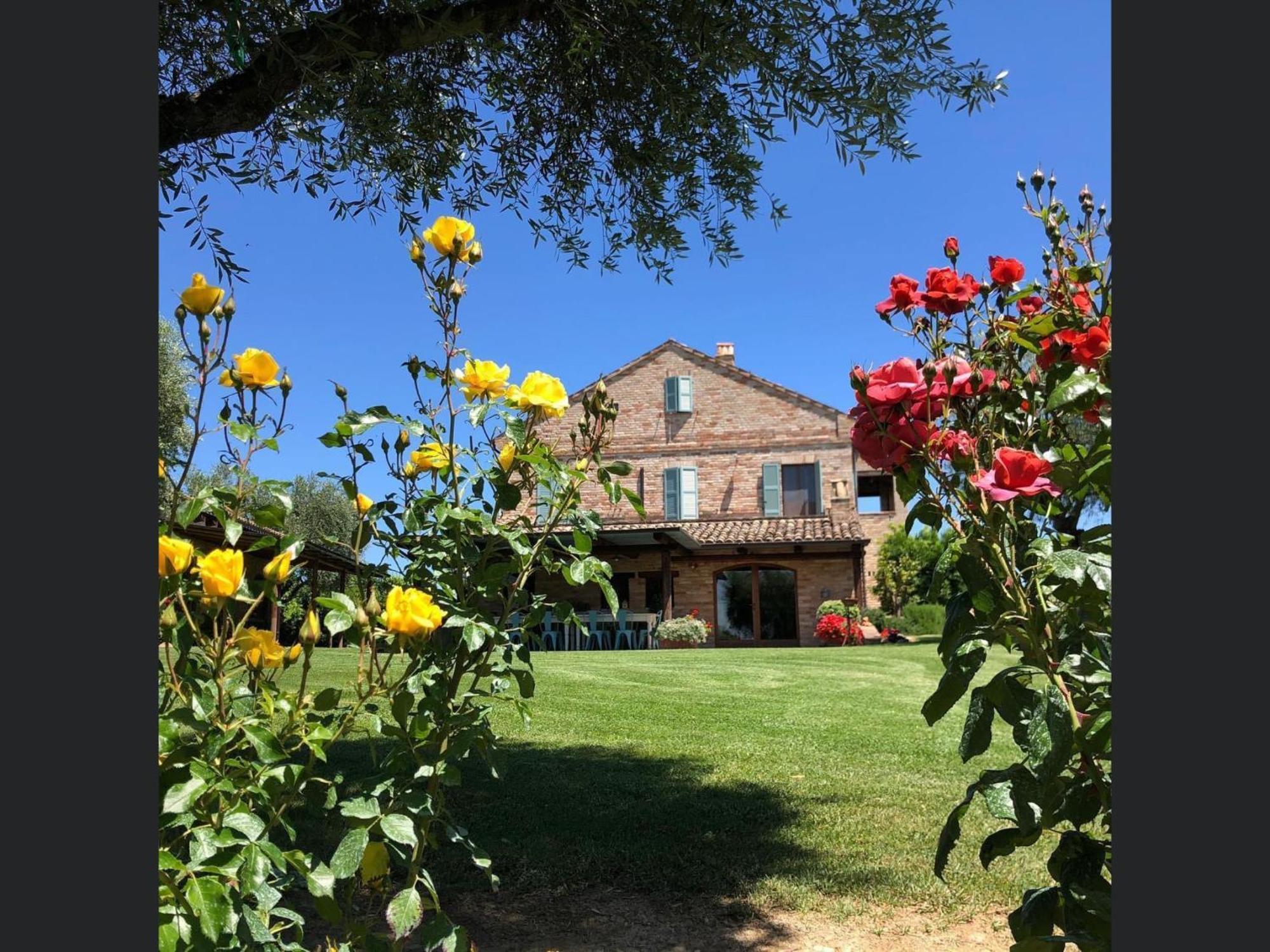 Degli Ulivi Fermo