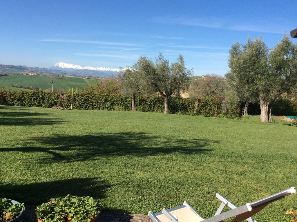 Degli Ulivi *