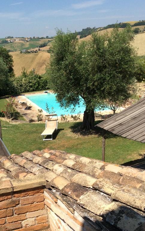 Degli Ulivi Holiday home