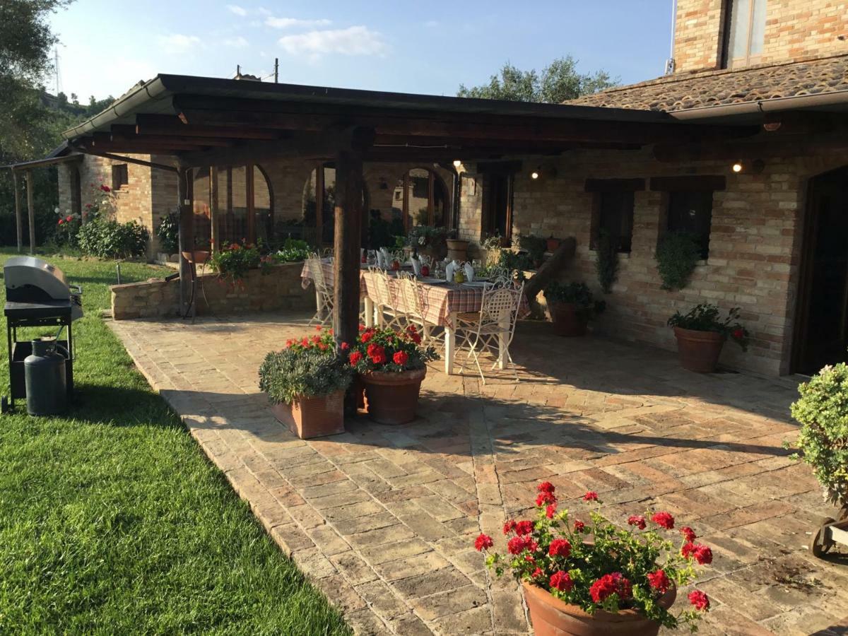 Degli Ulivi *