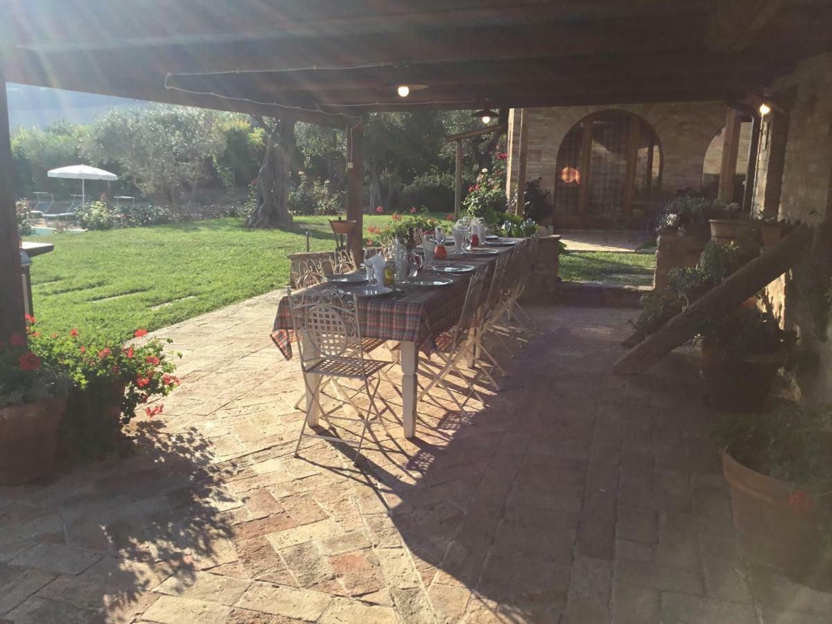 Degli Ulivi Holiday home