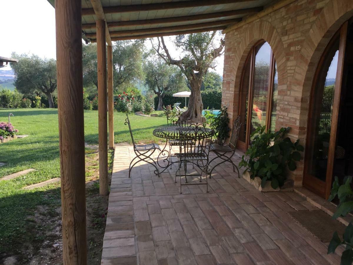 Degli Ulivi